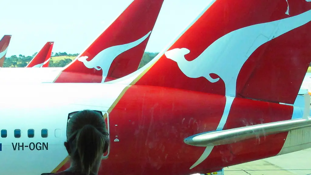 3h231833-jpg6630987636614455632