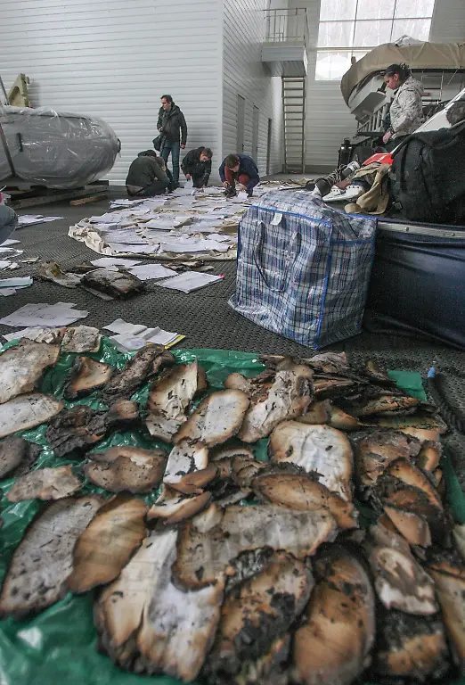 3gz72112-jpg3413516010555428616