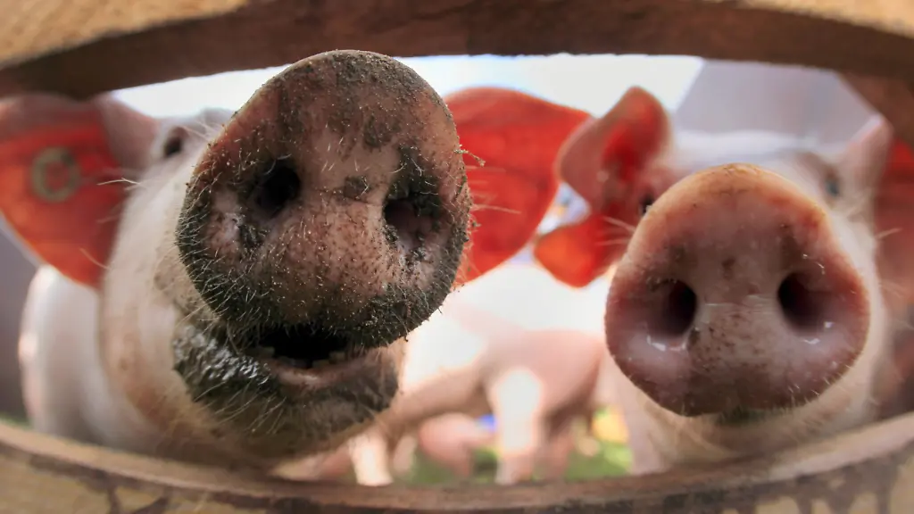 3gvh0244-jpg5735593573436073112