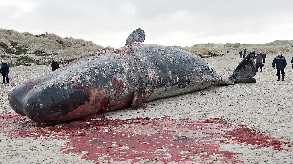 3gvq2646-jpg8530688113046101929