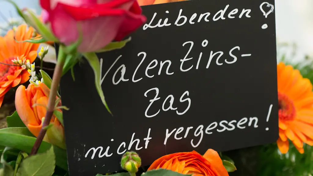 3gse2511-jpg8815787013062247615