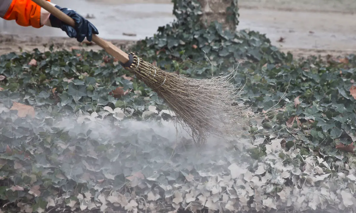 3glp2130-jpg4765581231137477656