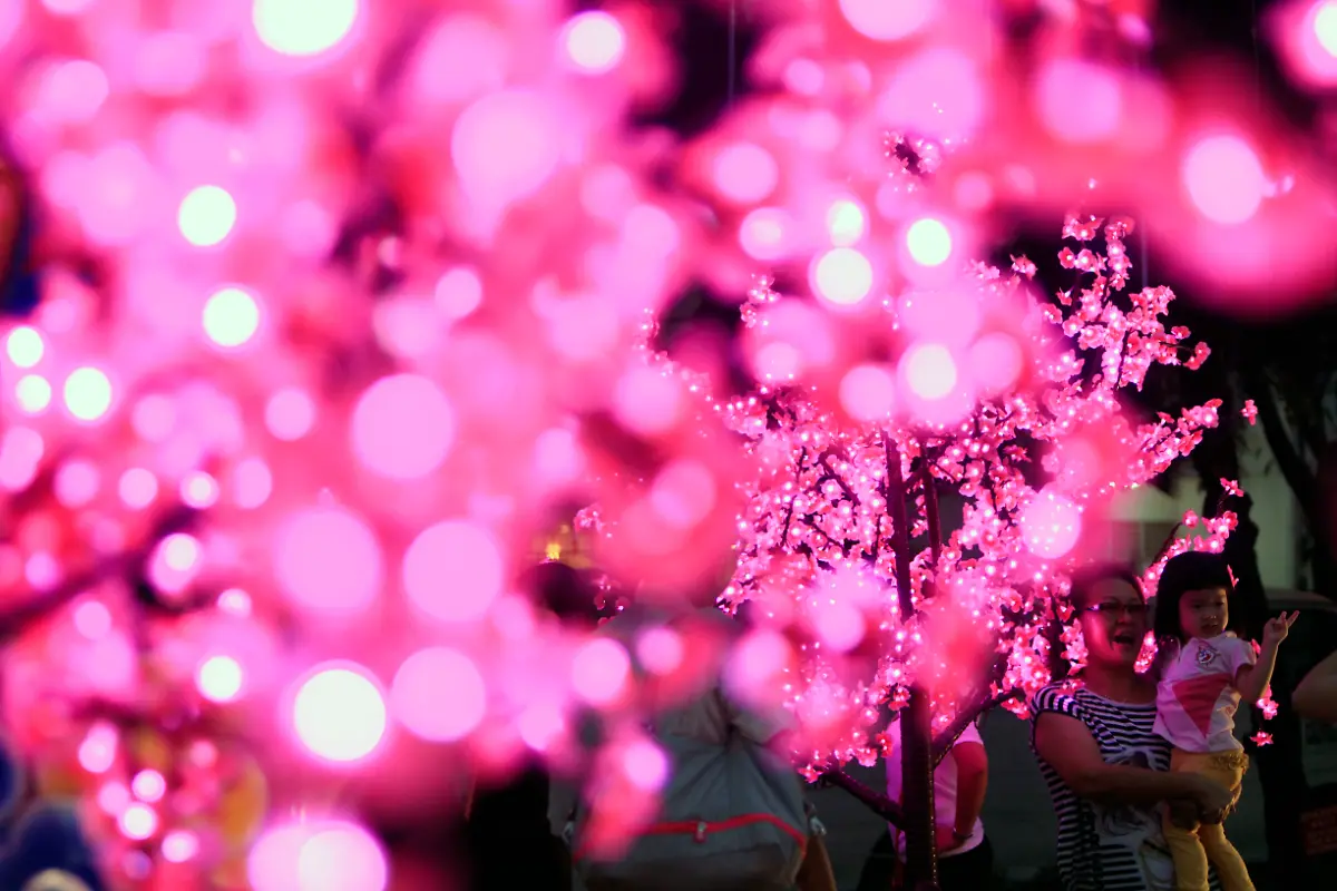 32887400585AA367-jpg1807911459552670484