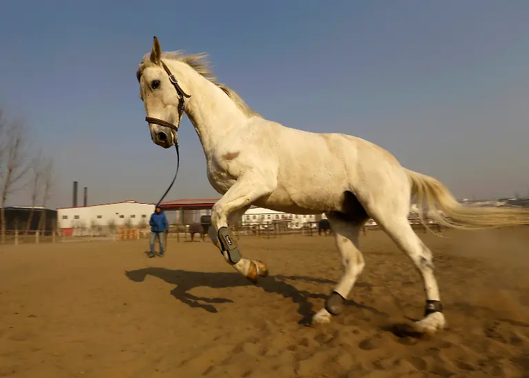 2014-01-29T032353Z-1530055257-GM1EA1T0VLE01-RTRMADP-3-CHINA-JPG6439330307294740174