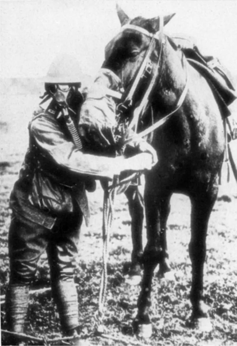 Gasmask-for-man-and-horse