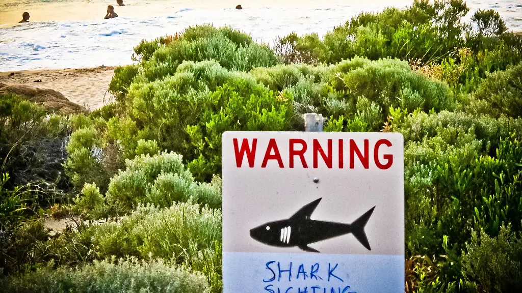 3gg50238-jpg8555106699285525212