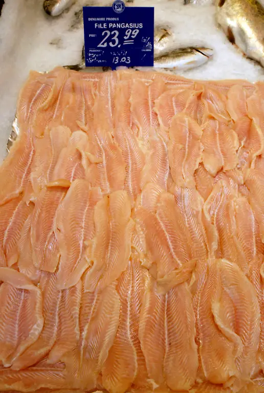 pangasius