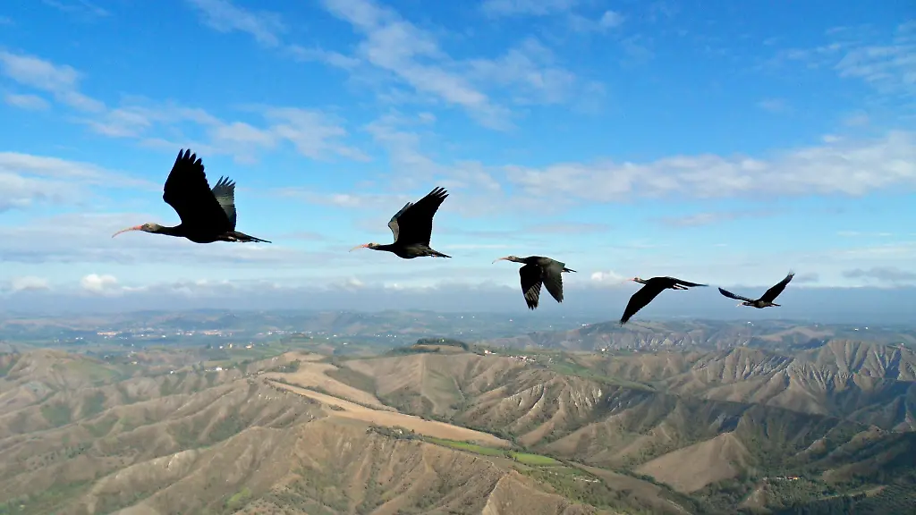 3g9k0042-jpg1542521216409714301