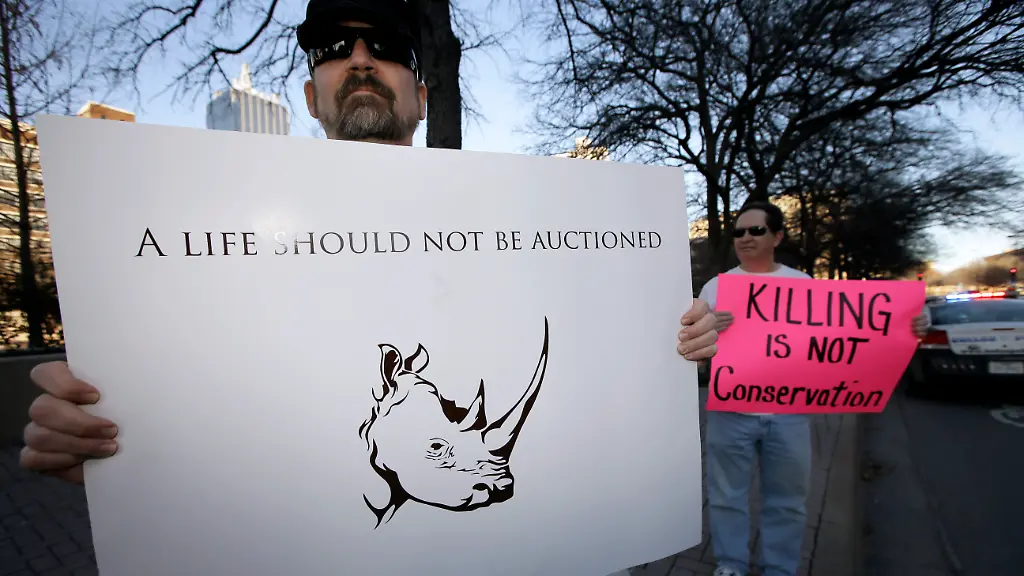 32885800AB1F7036-jpg1874175826039994472