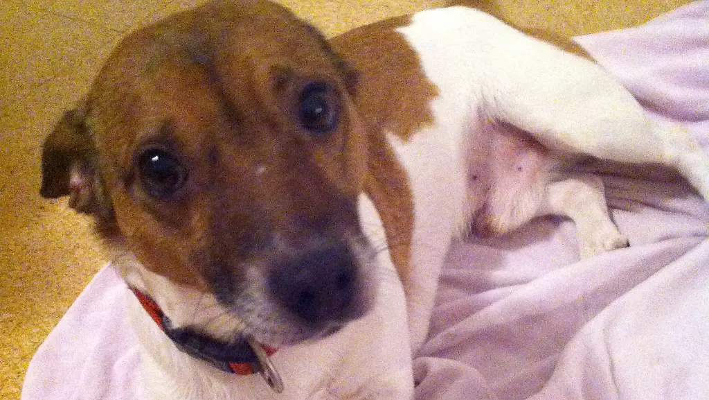 3g6d4646-jpg8979578615167178257