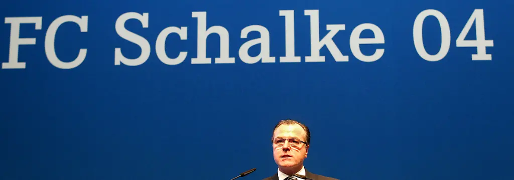 Bild zum Thema FC Schalke 04