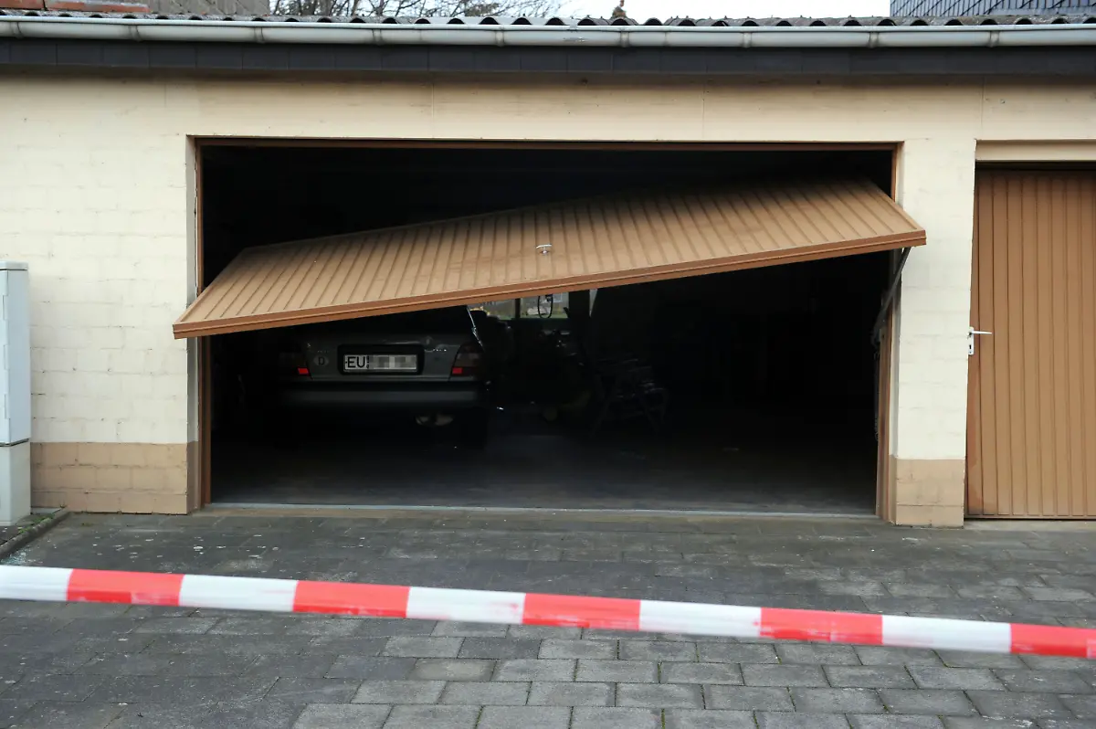 3g1s3155-jpg3129760739997828923