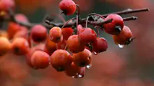 Temperaturen bleiben mild : Winter gibt’s nur am Sonntag