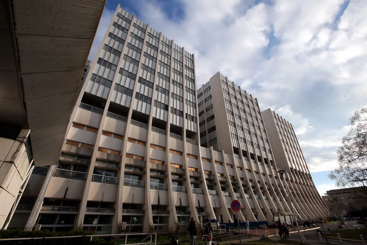 3fyh1855-jpg5951428973750515758