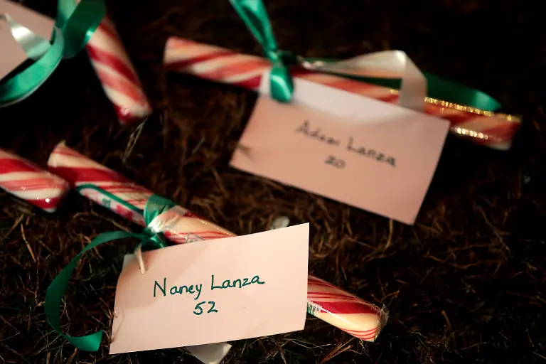 3287380006A7D131-jpg8053393167328859780