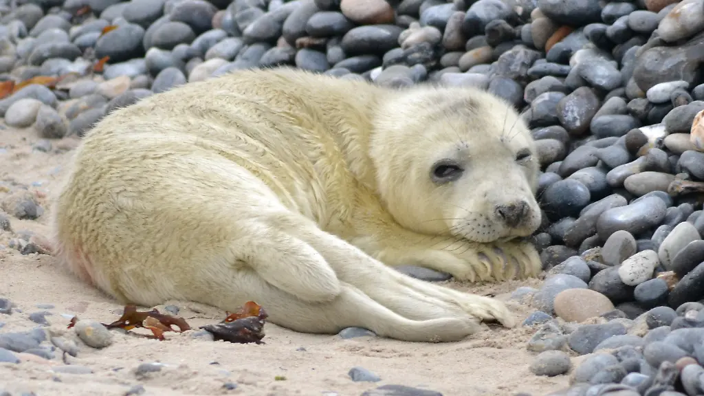 3flq0752-jpg6648560090602844430