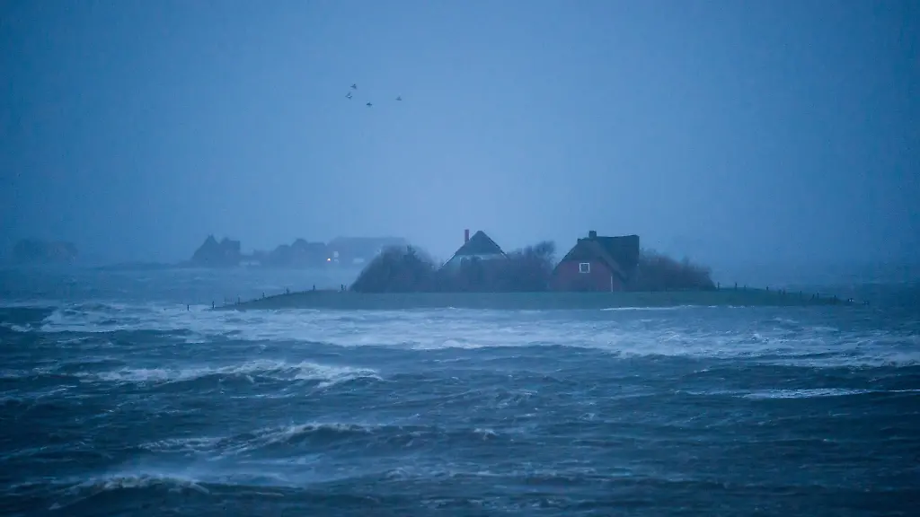 3fii0526-jpg1982454554041584001