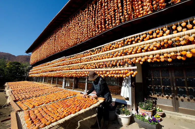 3fig1304-jpg9217591027128374879