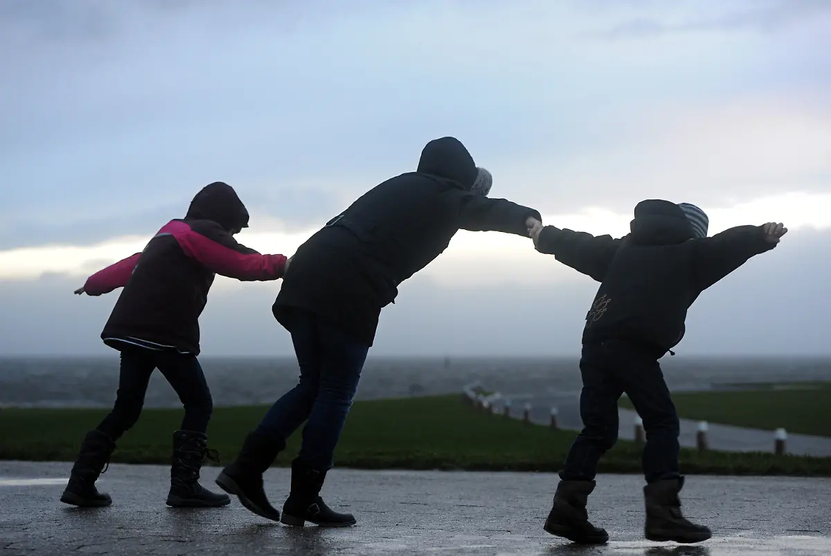 3fig2913-jpg4305034469848648564