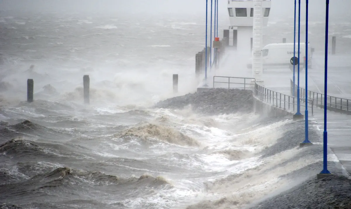 3fic1544-jpg4780943011022555029