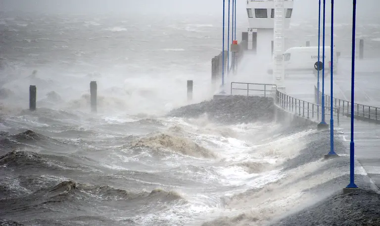 3fic1544-jpg4780943011022555029