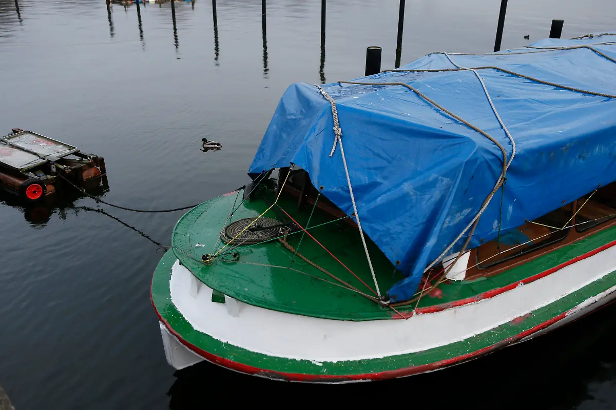 3fhr0131-jpg8702513532787491923