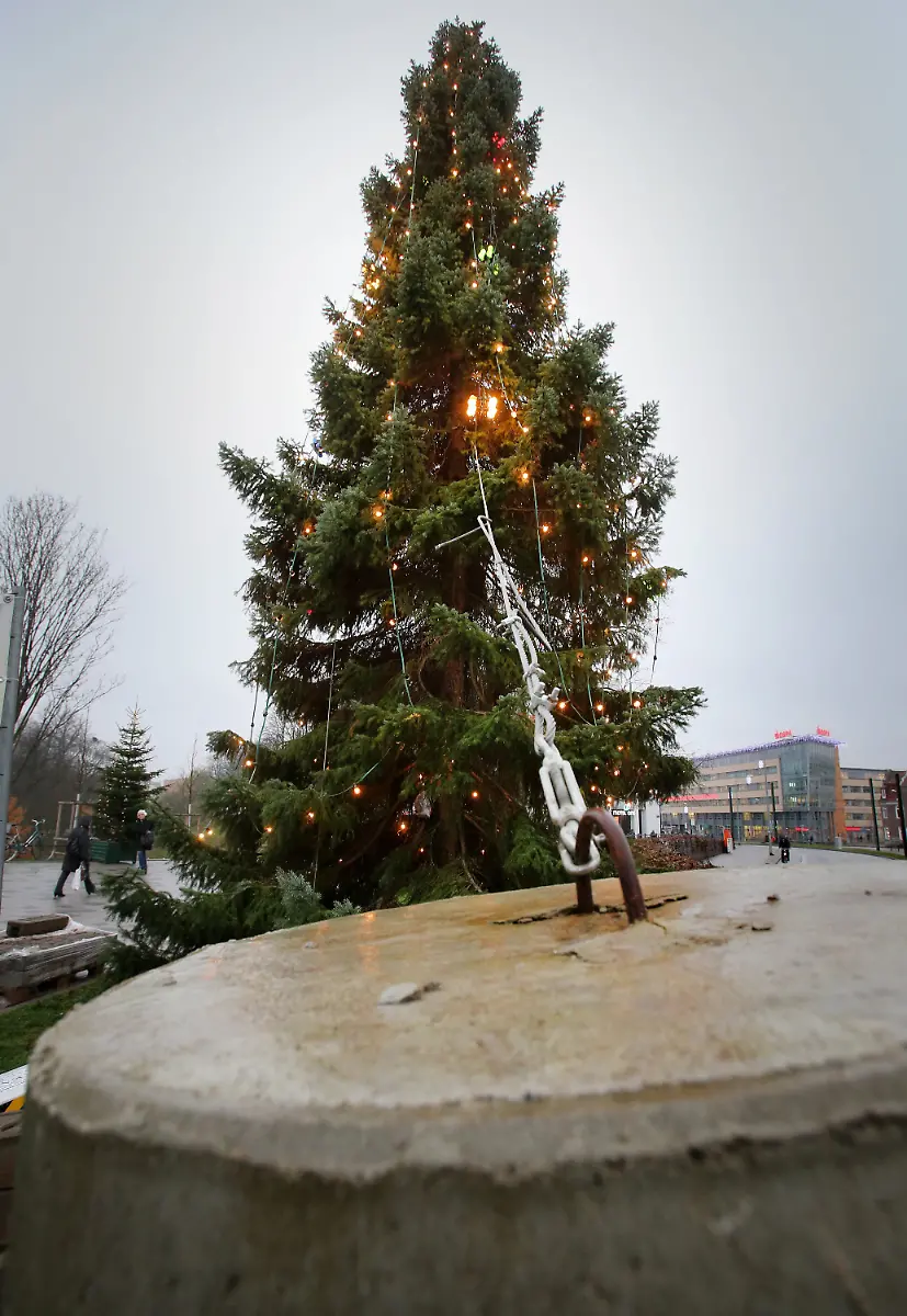 3fhr4825-jpg4439010928015021376