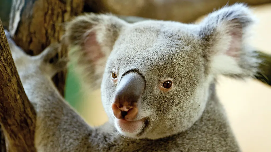 3fg93128-jpg3109125174907208348