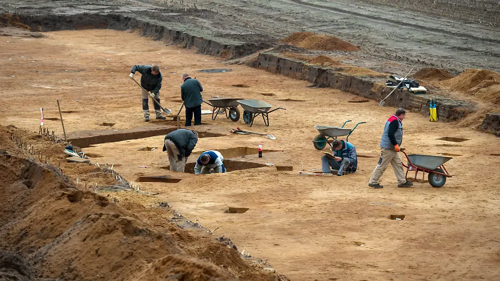 3f6g0158-jpg1769865527061846212