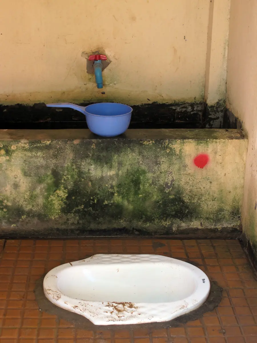 3f250031-jpg4466676053891522756