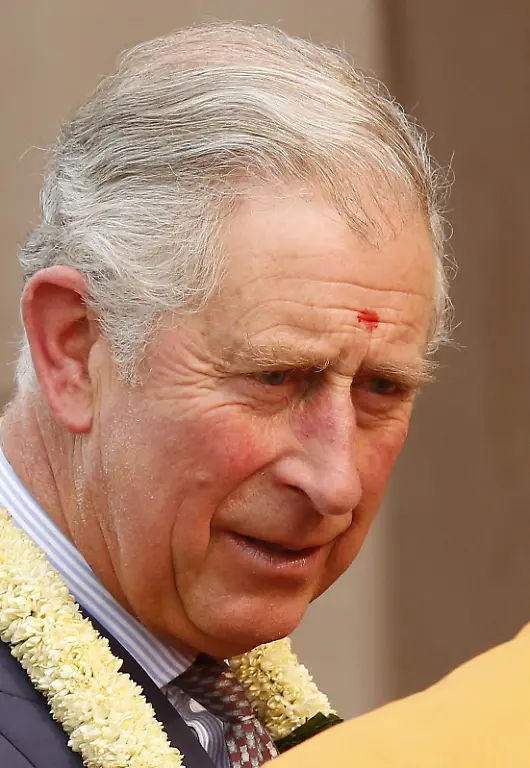 3ezq0420-jpg6720577416600243709