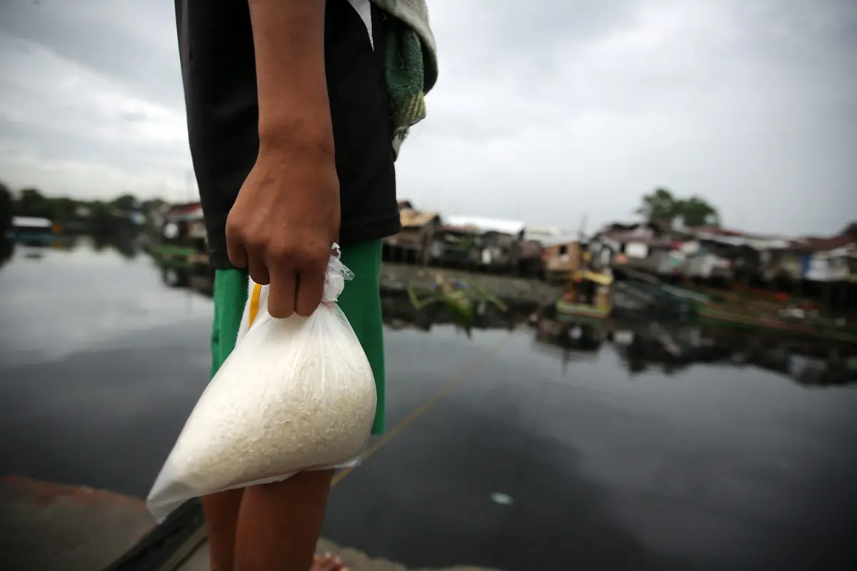 3ezf2230-jpg7355657560165646189