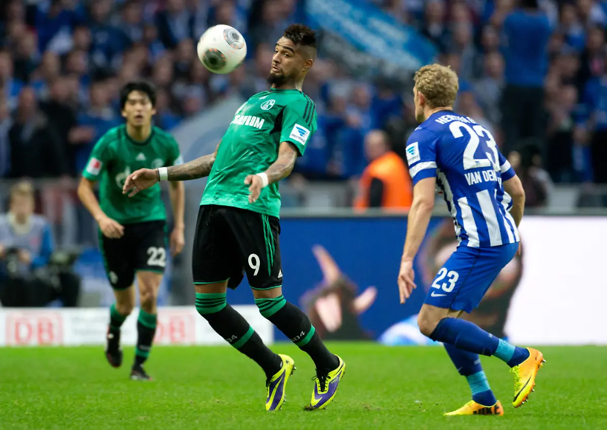 3evu0504-jpg4004334136148982418