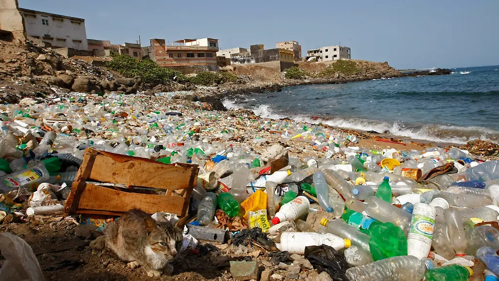 3ew50640-jpg8953457714621176816