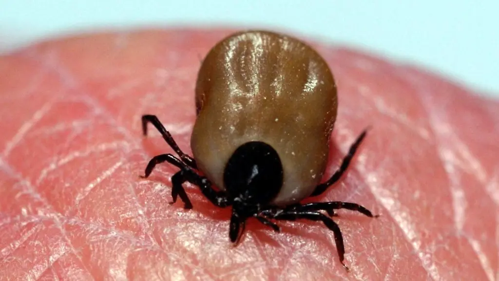 3esy1812-jpg1698323855273946656