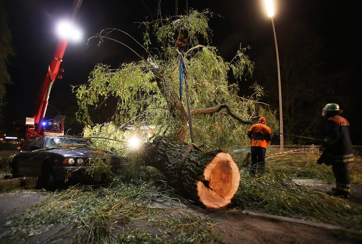 3esj3650-jpg8081702309165021725