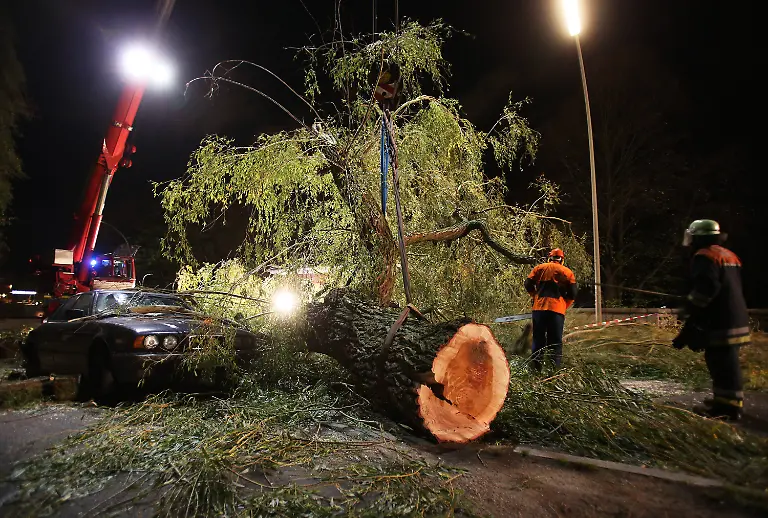 3esj3650-jpg8081702309165021725