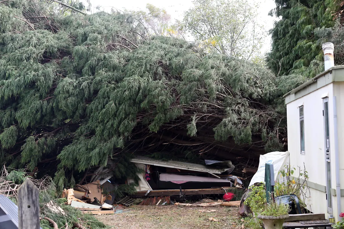 imago-st-102815400006-60646632-jpg1749379922461951843