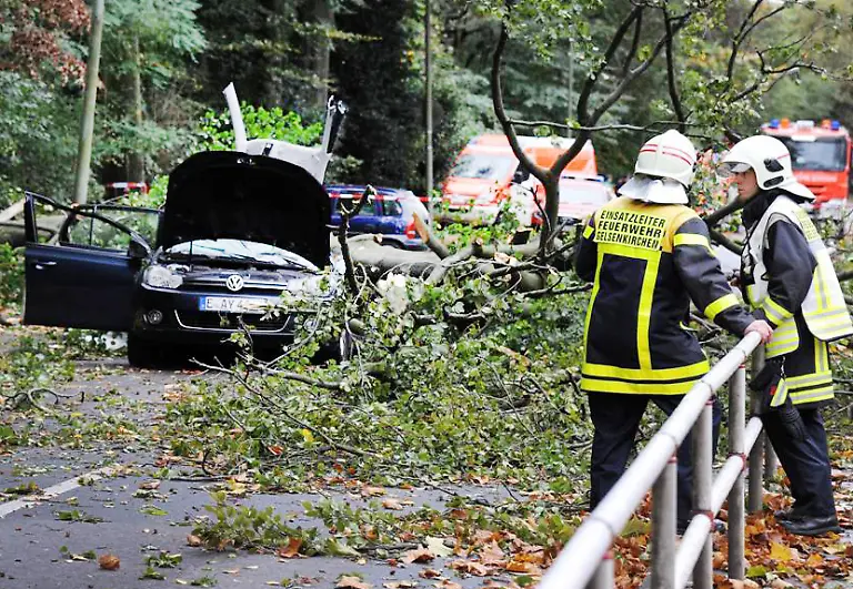 3esg0655-jpg7268240056287294031