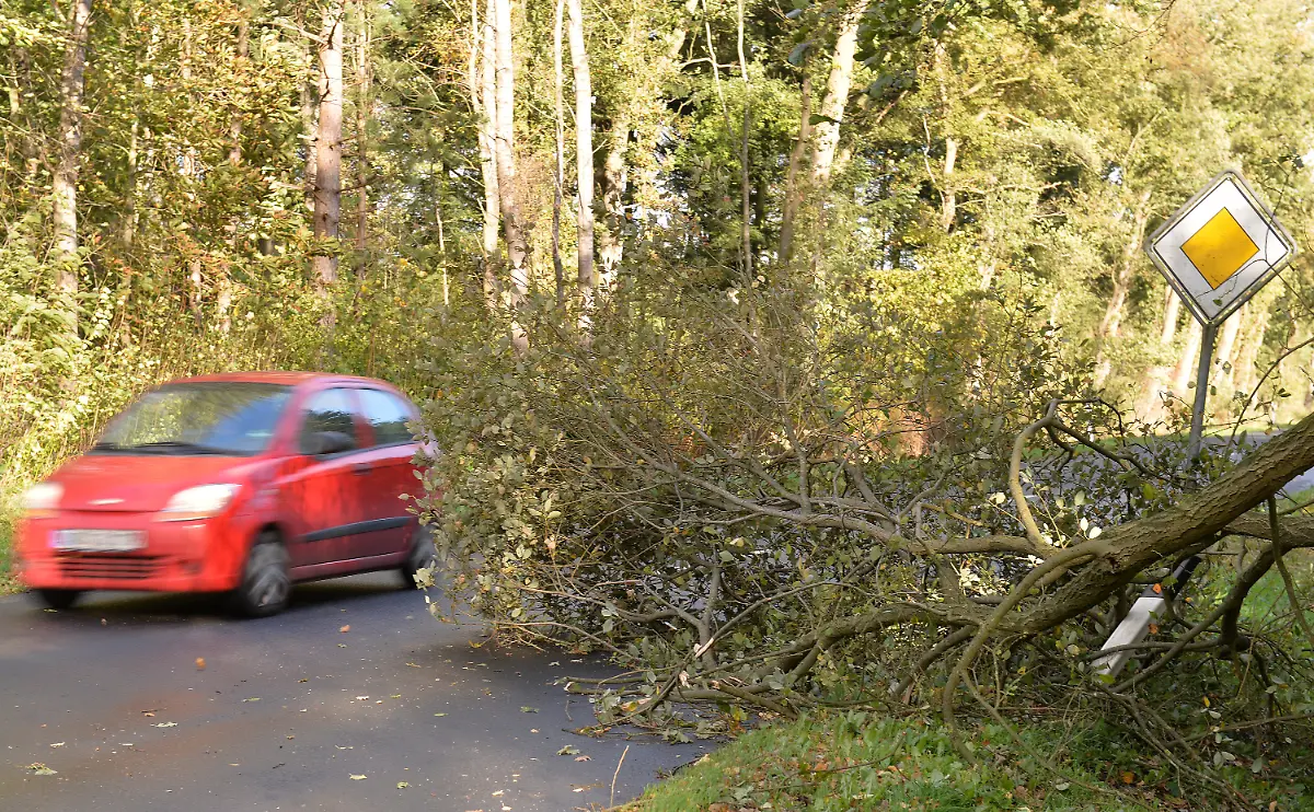 3esf0542-jpg3136471981271302991