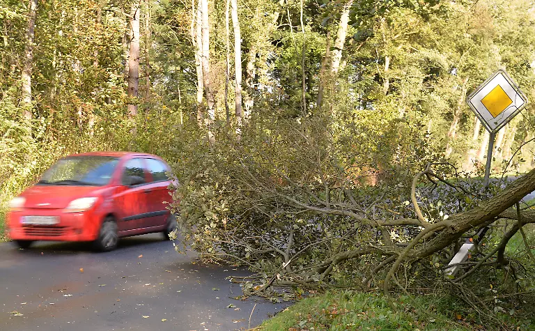 3esf0542-jpg3136471981271302991