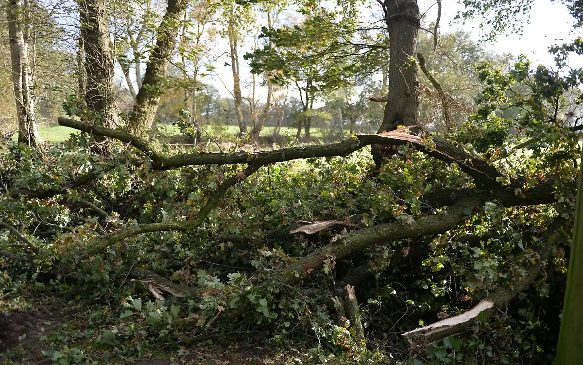 3esf0343-jpg6239179787325144609