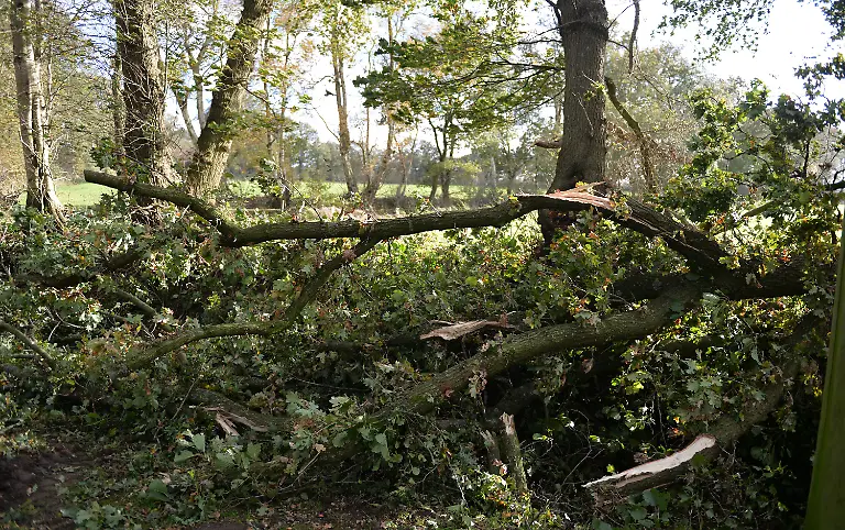 3esf0343-jpg6239179787325144609