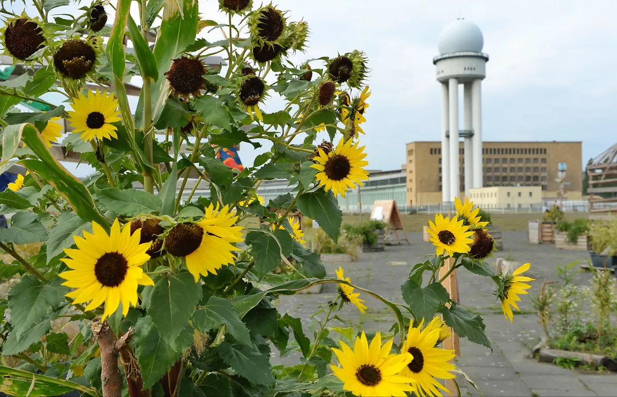 3es45416-jpg7111653453574584214