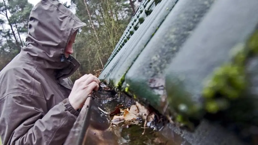Regenrinnen-Check-Laub-und-Schmutz-muessen-raus
