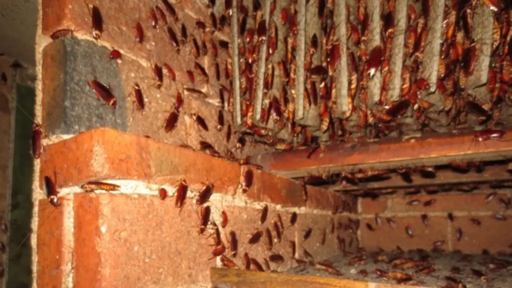 3eno4425-jpg2628307490943906299