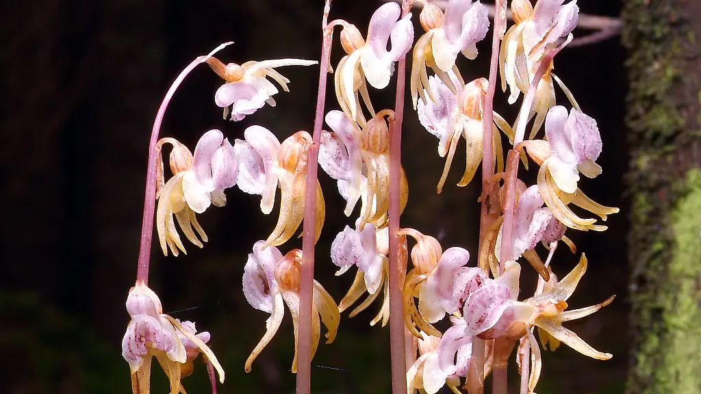 3emd3013-jpg1788088949503376811