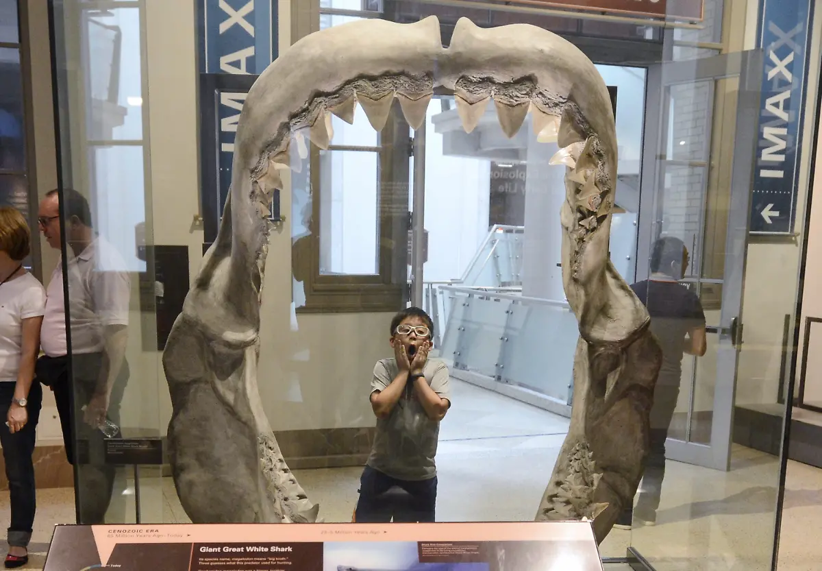 3ela0742-jpg6201428511827996130