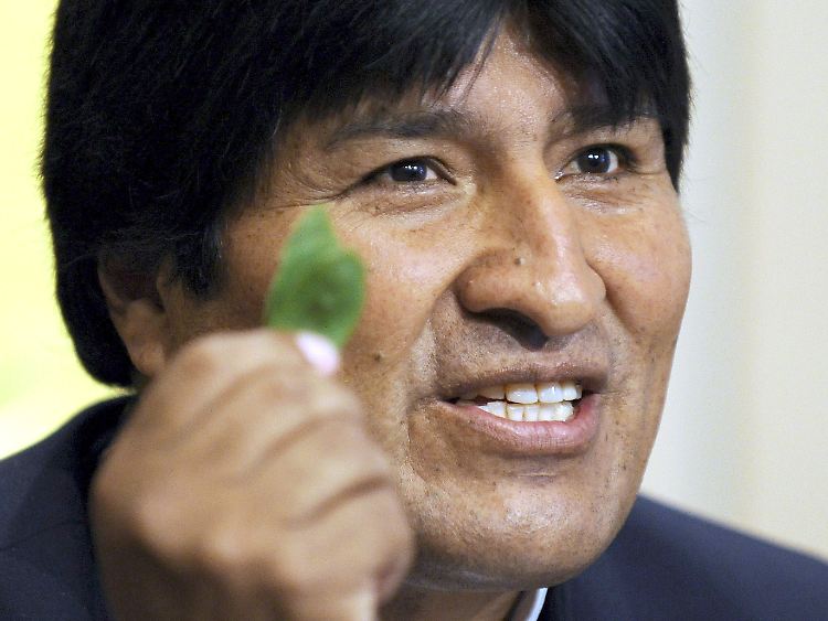 Boliviens Präsident Evo Morales, mit Kokablatt.