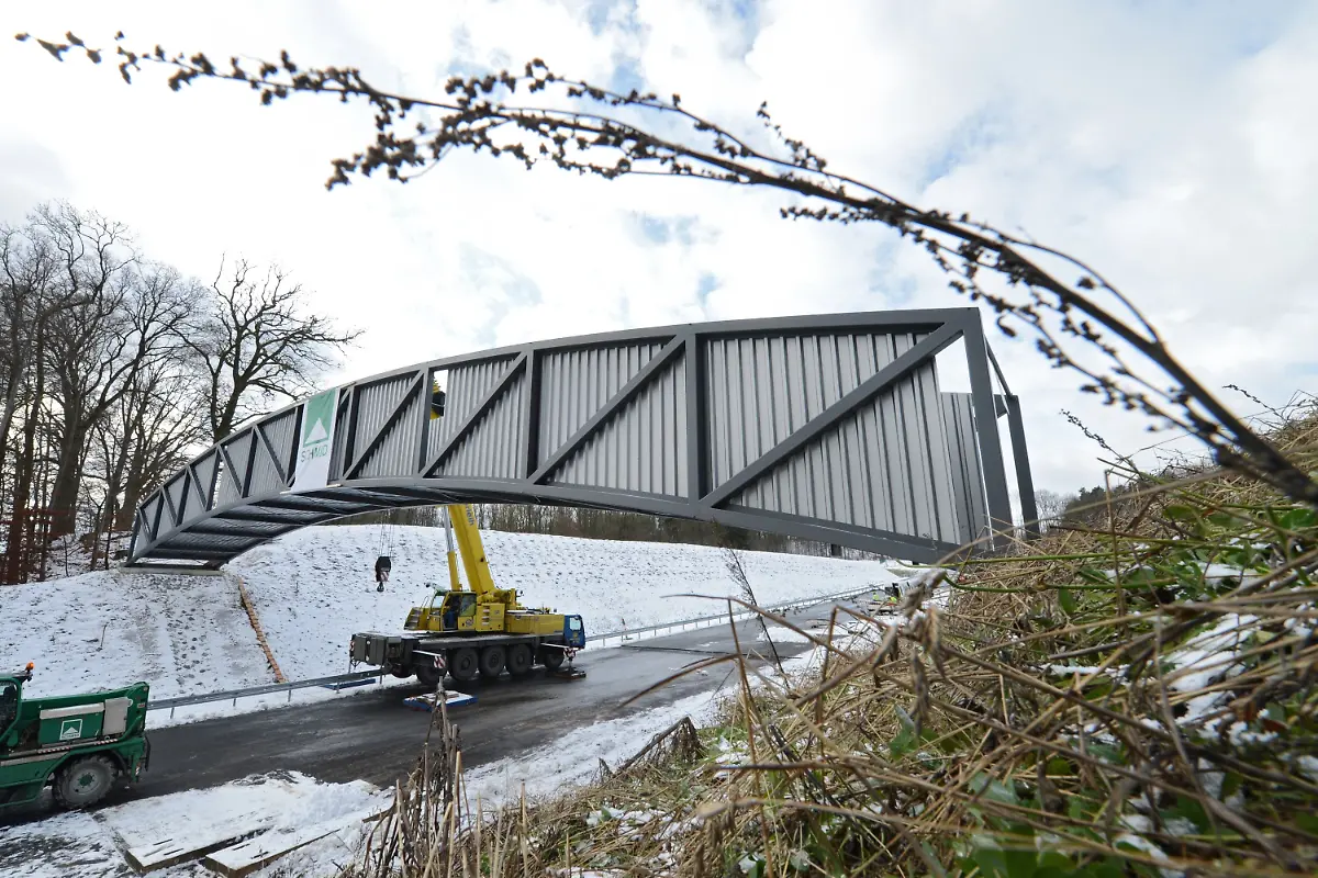 3el23421-jpg7511297452487880266